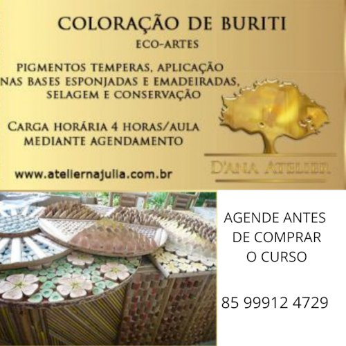 Curso de Coloração de Buriti